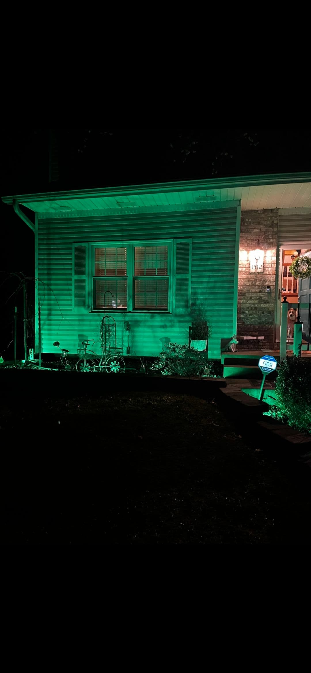 Brighten Your Nights with Our Govee Lighting Solutions