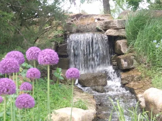 A waterfall and flower garden at the Overland Park Arboretum and Botanical Gardens in Overland Park, Kansas