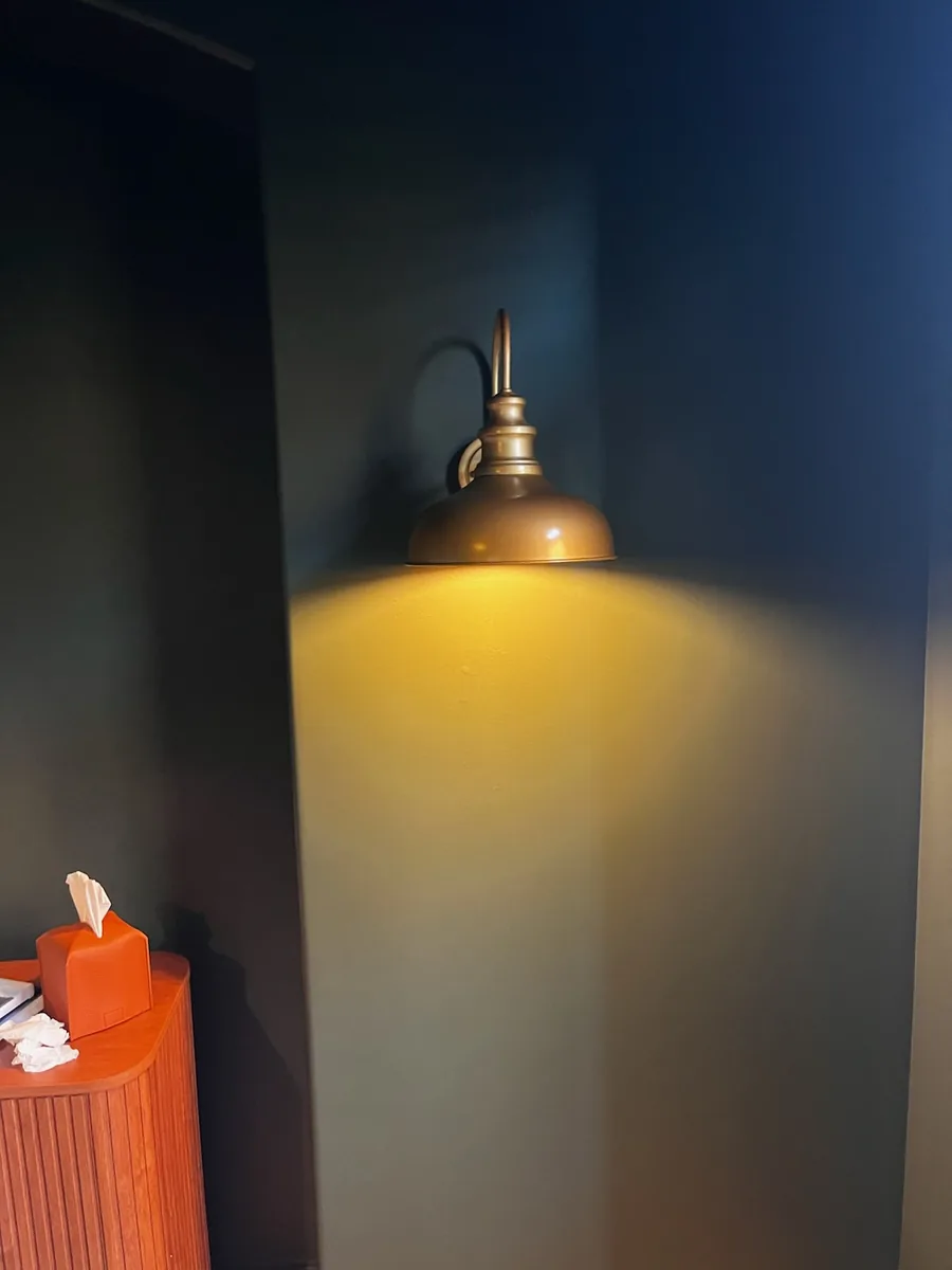 Wall Sconce on a Dark Accent Wall